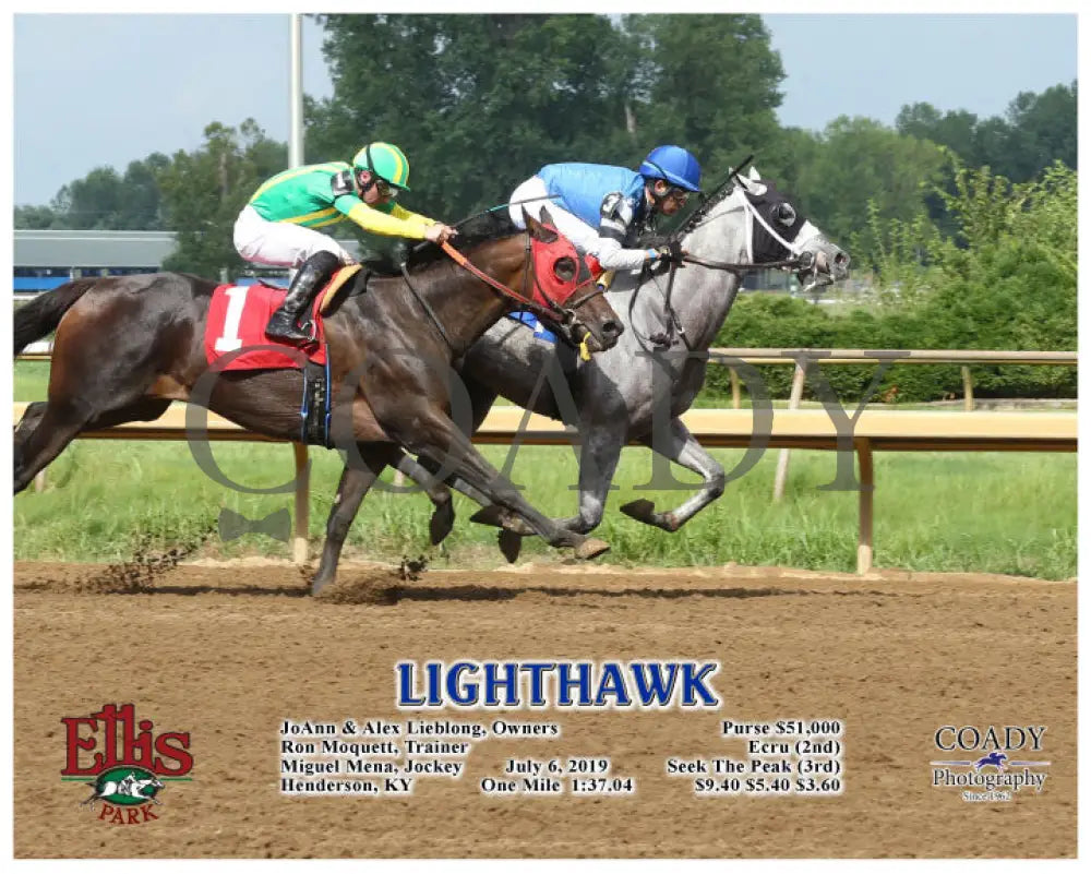 Lighthawk - 07-06-19 R07 Elp Action Ellis Park