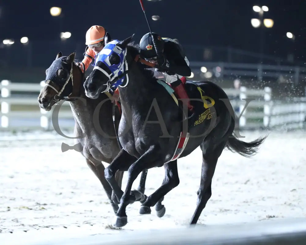 Lightofmaine - La Bred Premier Starlet Stakes 02-03-24 R08 Delta Downs Inside Finish