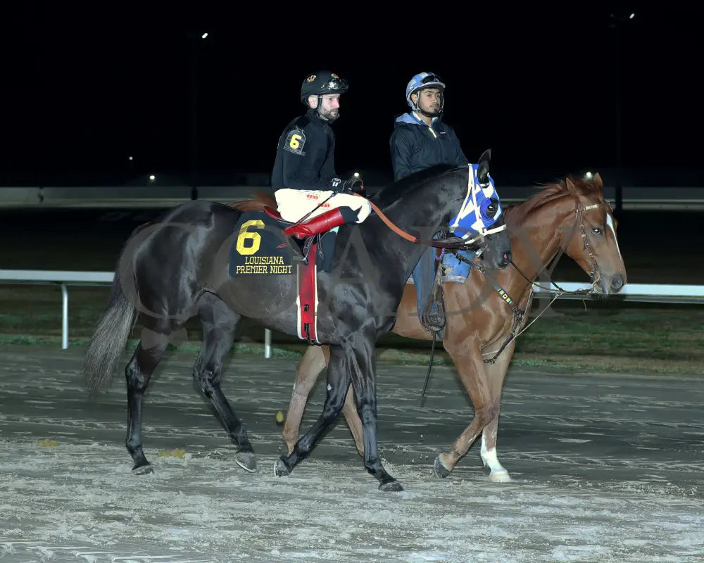 Lightofmaine - La Bred Premier Starlet Stakes 02-03-24 R08 Delta Downs Post Parade