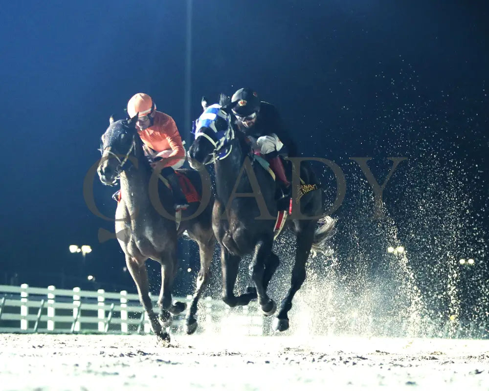 Lightofmaine - La Bred Premier Starlet Stakes 02-03-24 R08 Delta Downs Under Rail