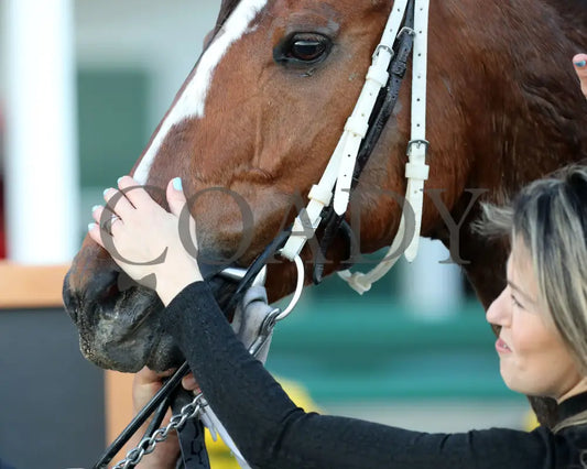 Like A Saltshaker - 111624 Race 09 Cd Brittany Vanden Berg 01 Churchill Downs