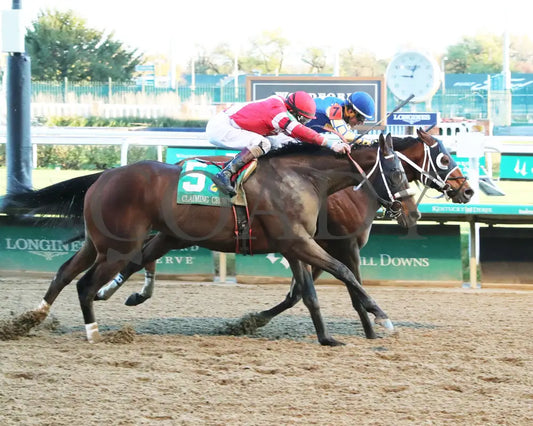 Like A Saltshaker - 111624 Race 09 Cd Finish 01 Churchill Downs