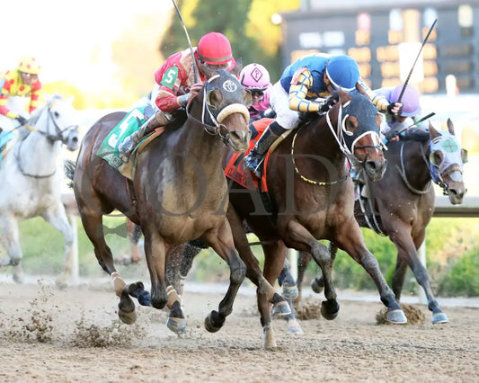 Like A Saltshaker - 111624 Race 09 Cd Finish 02 Churchill Downs