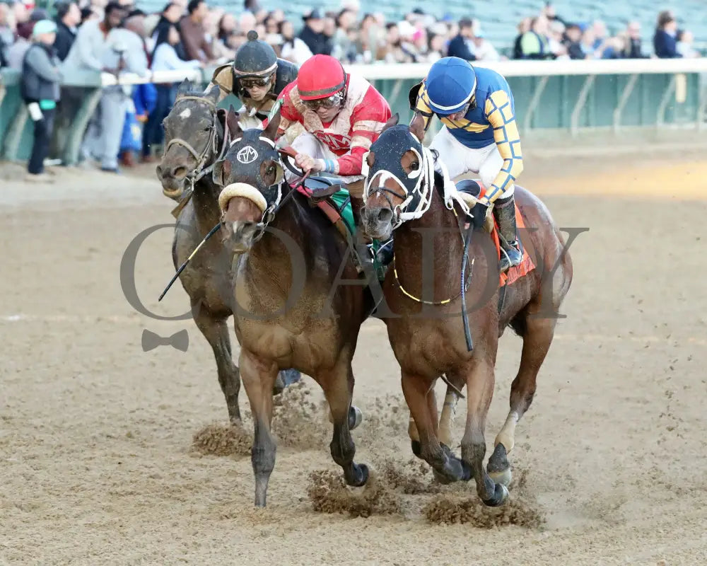 Like A Saltshaker - 111624 Race 09 Cd Inside Finish 01 Churchill Downs