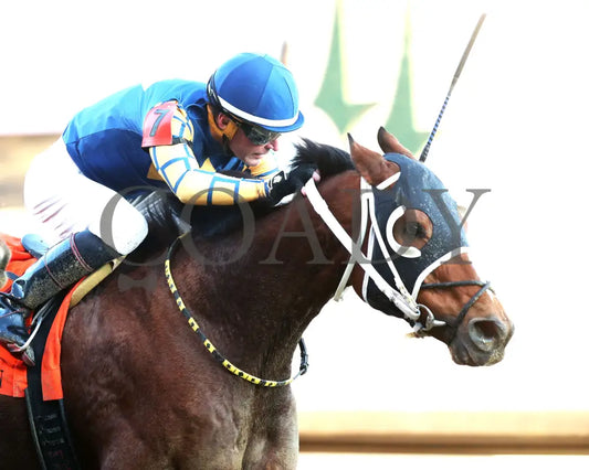 Like A Saltshaker - 111624 Race 09 Cd Tight Finish 01 Churchill Downs