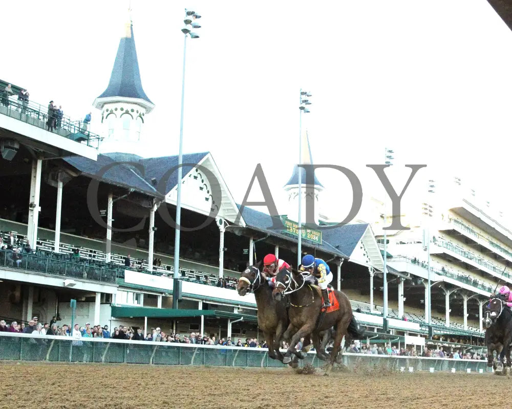 Like A Saltshaker - 111624 Race 09 Cd Under Rail 01 Churchill Downs