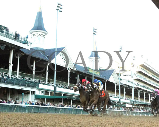 Like A Saltshaker - 111624 Race 09 Cd Under Rail 01 Churchill Downs