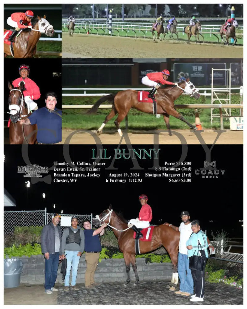 Lil Bunny - 08-19-24 R06 Mnr Mountaineer Park