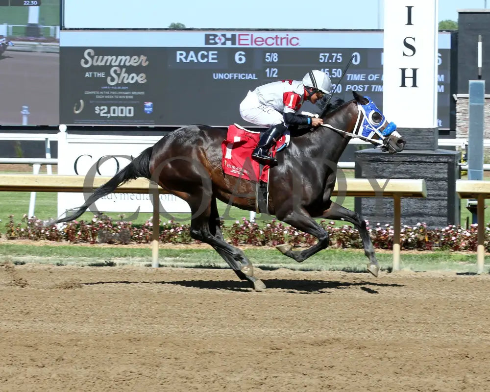 Lil Gin N Class - Hoosier Breeders Sophomore Handicap 15Th Running 06-12-24 R06 Horseshoe Indiana