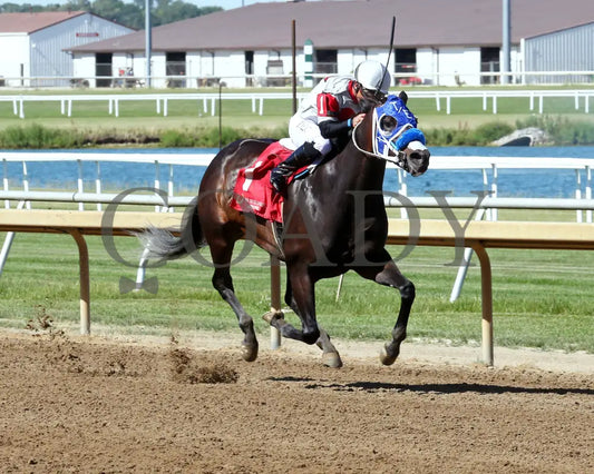 Lil Gin N Class - Hoosier Breeders Sophomore Handicap 15Th Running 06-12-24 R06 Horseshoe Indiana