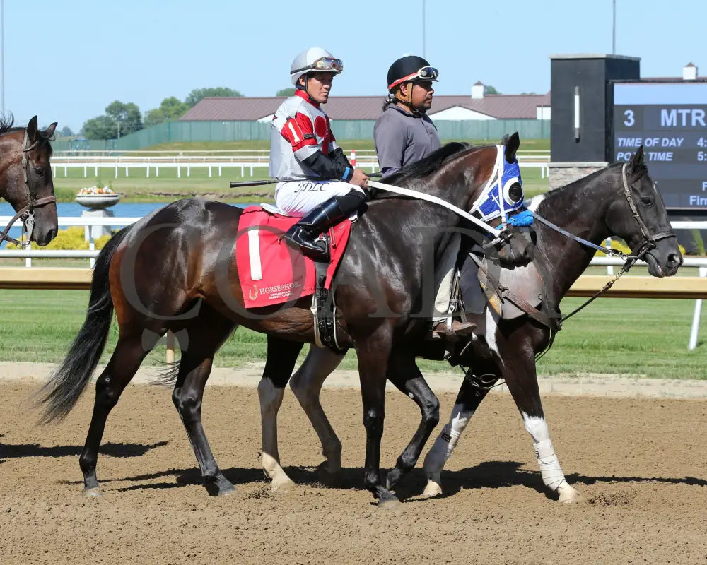 Lil Gin N Class - Hoosier Breeders Sophomore Handicap 15Th Running 06-12-24 R06 Horseshoe Indiana