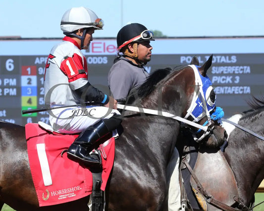 Lil Gin N Class - Hoosier Breeders Sophomore Handicap 15Th Running 06-12-24 R06 Horseshoe Indiana