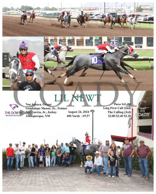 Lil Newt - 08-24-24 R10 Alb Downs At Albuquerque