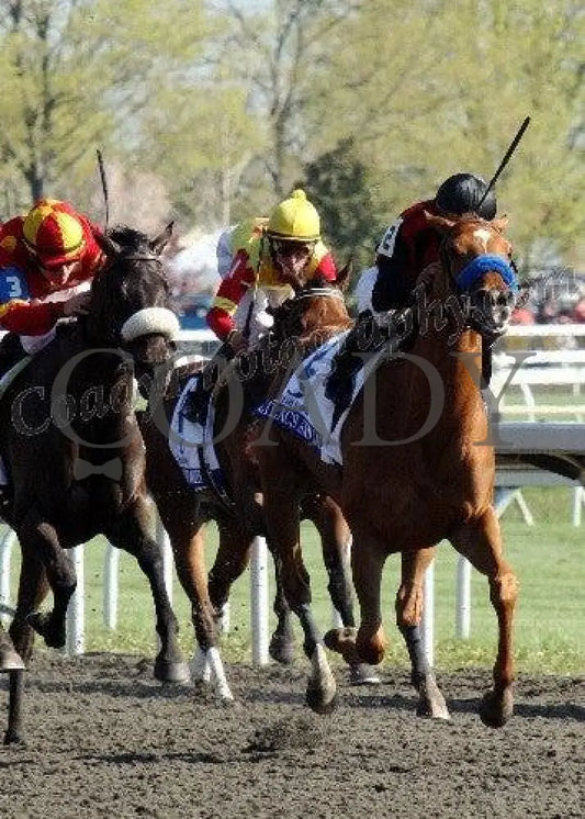 Lilacs And Lace - Fin 2 The Central Bank Ashla Keeneland