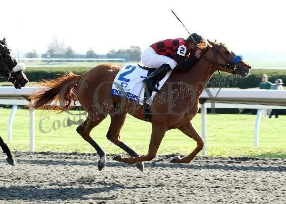 Lilacs And Lace - Fin The Central Bank Ashland Keeneland