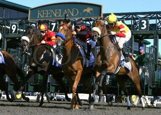 Lilacs And Lace - Start- The Central Bank Ashland Keeneland