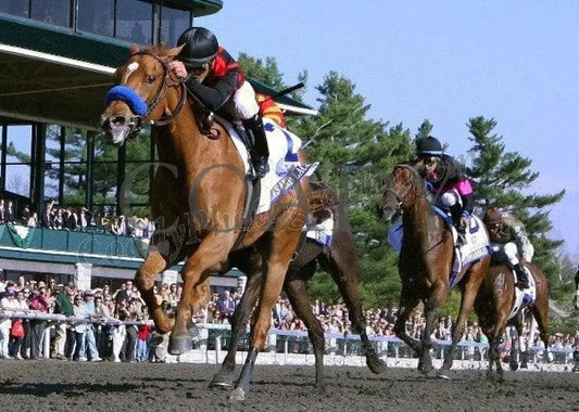 Lilacs And Lace - Under Rail The Central Bank A Keeneland