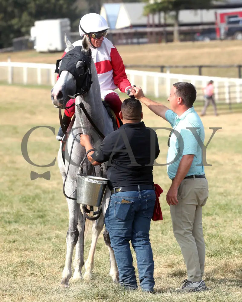 Limited Liability - The Blackwood Distilling Nashville Gold Cup 1St Running 09-11-24 R08 Kd Come