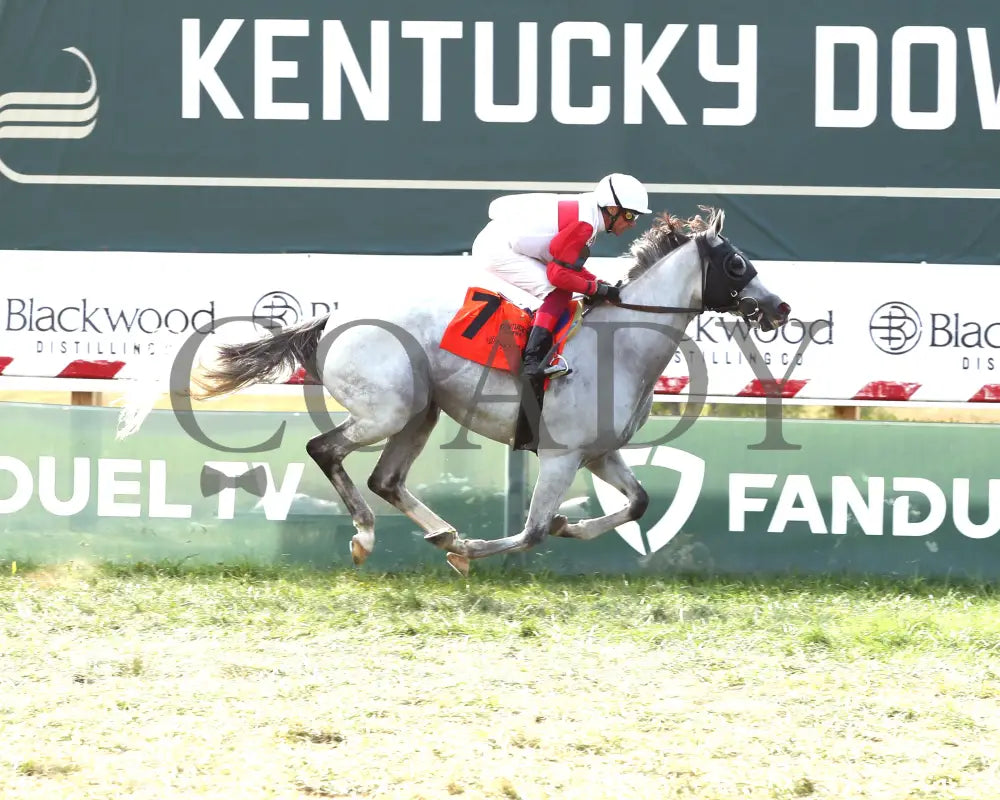 Limited Liability - The Blackwood Distilling Nashville Gold Cup 1St Running 09-11-24 R08 Kd Finish