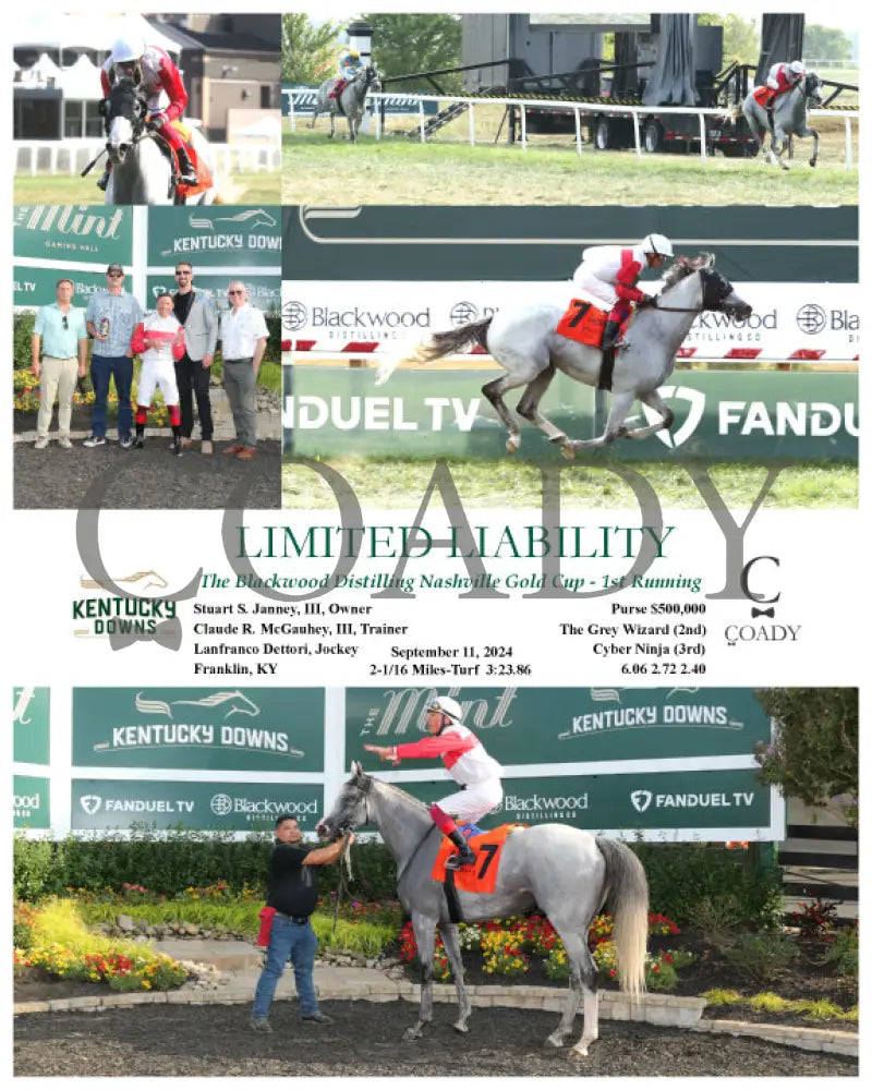 Limited Liability - The Blackwood Distilling Nashville Gold Cup 1St Running 09-11-24 R08 Kd