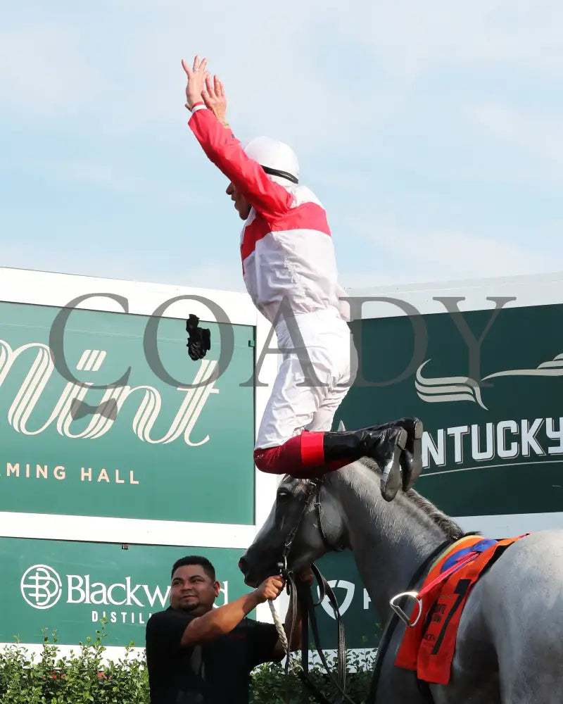 Limited Liability - The Blackwood Distilling Nashville Gold Cup 1St Running 09-11-24 R08 Kd