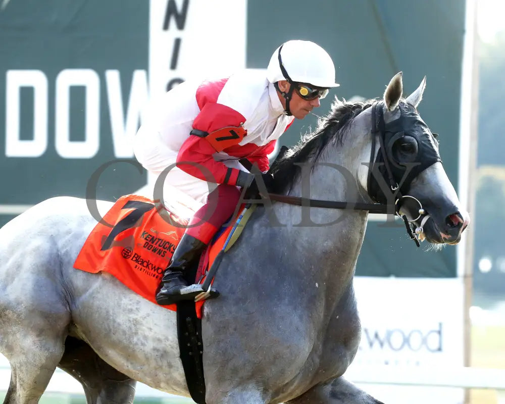 Limited Liability - The Blackwood Distilling Nashville Gold Cup 1St Running 09-11-24 R08 Kd Post