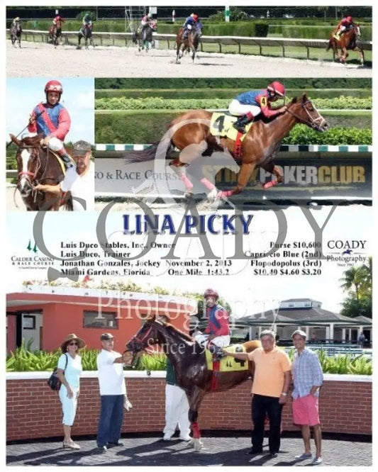 Lina Picky - 110213 Race 01 Crc Calder Course