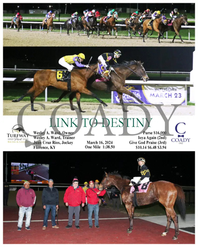 Link To Destiny - 03 - 16 - 24 R08 Tp Turfway Park