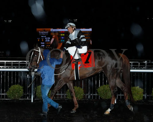 LITHE SPIRIT - The 29th Running of THE QUEEN - 03-15-25 - R06 - TP - Come Back 02 - Coady Media - Kurtis Coady Photography