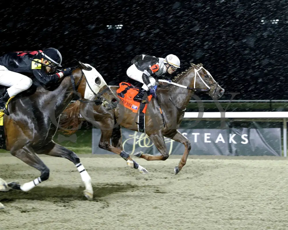 LITHE SPIRIT - The 29th Running of THE QUEEN - 03-15-25 - R06 - TP - Finish 01 - Coady Media - Kurtis Coady Photography