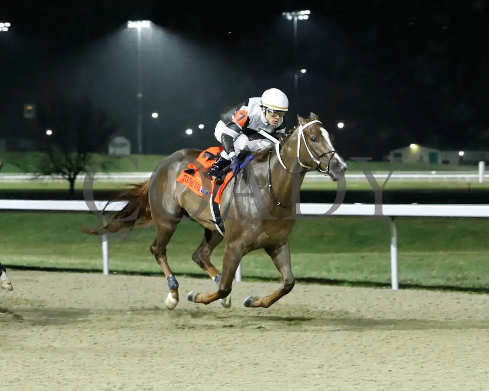 LITHE SPIRIT - The 29th Running of THE QUEEN - 03-15-25 - R06 - TP - Finish 02 - Coady Media - Kurtis Coady Photography