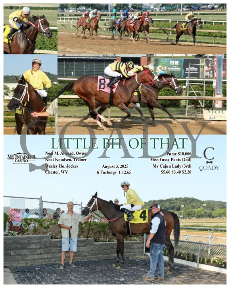 LITTLE BIT OF THAT - 08-03-25 - R03 - MNR Mountaineer Park