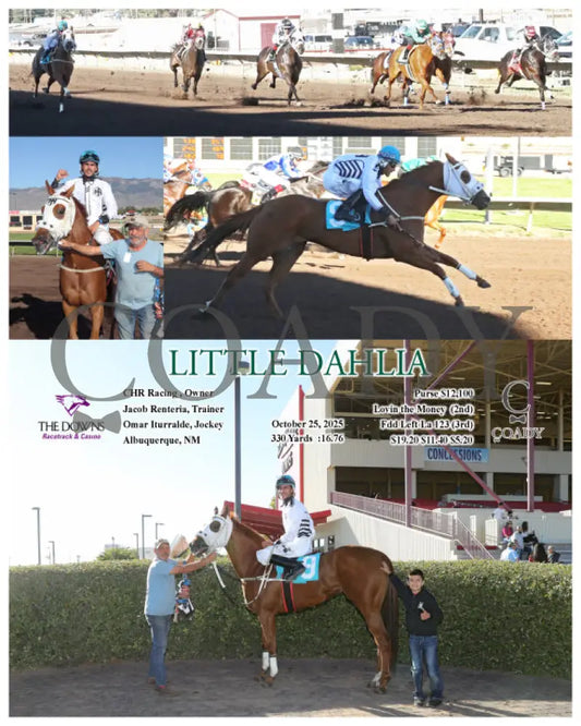 LITTLE DAHLIA - 10-25-25 - R07 - ALB Downs at Albuquerque