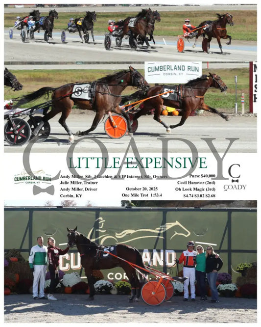 LITTLE EXPENSIVE - 10-20-25 - R09 - CMR Presque Isle Downs