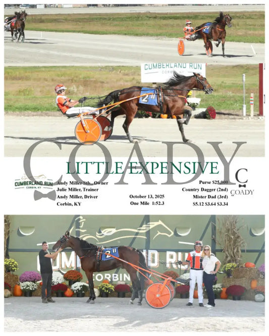 LITTLE EXPENSIVE - 101325 - Race 11 - CMR Presque Isle Downs