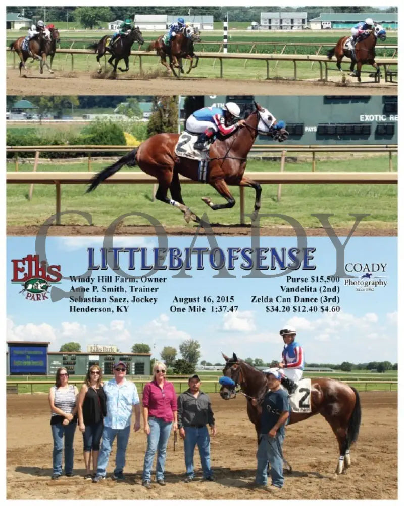 Littlebitofsense - 081615 Race 04 Elp Ellis Park