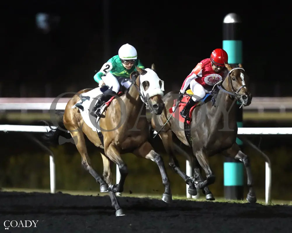 LIVE STREAM - The Fitz Dixon, Jr. Memorial Juvenile Stakes - 09-19-25 - R07 - PID - Finish 03 - Coady Media - Kurtis Coady Photography