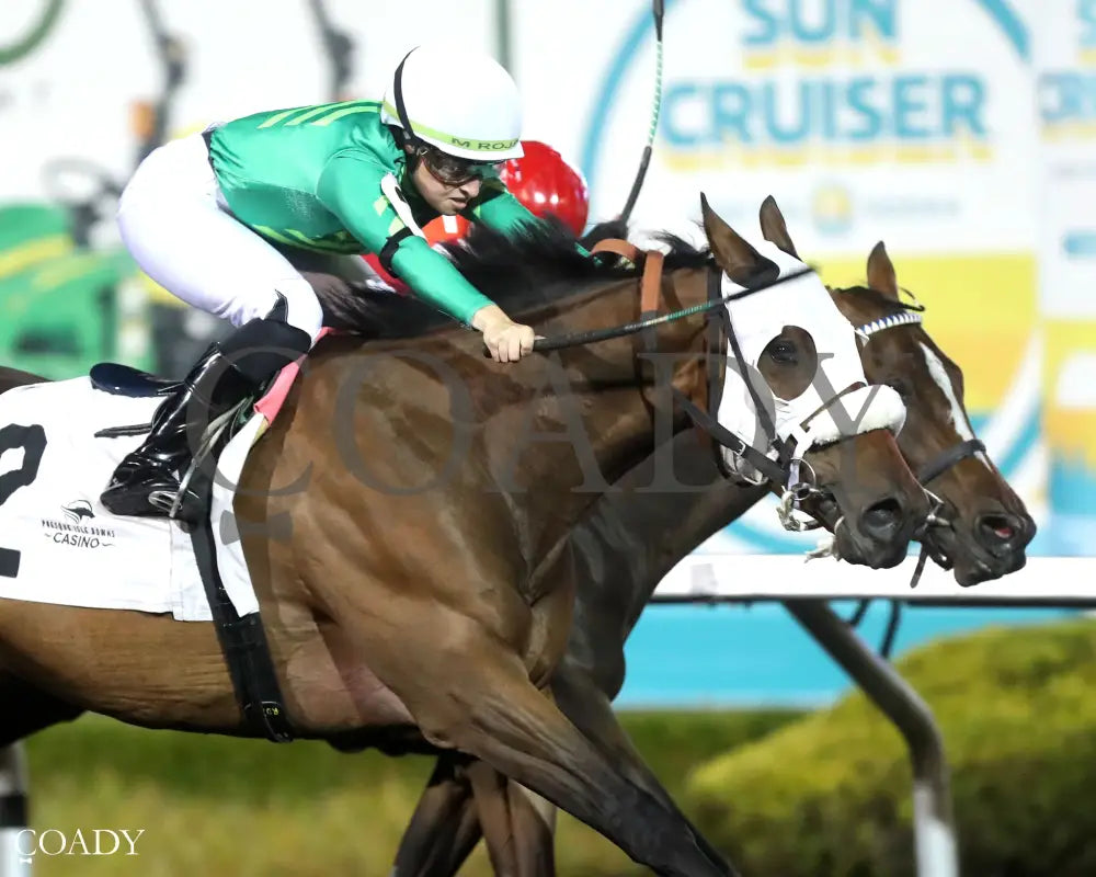LIVE STREAM - The Fitz Dixon, Jr. Memorial Juvenile Stakes - 09-19-25 - R07 - PID - Finish 04 - Coady Media - Kurtis Coady Photography