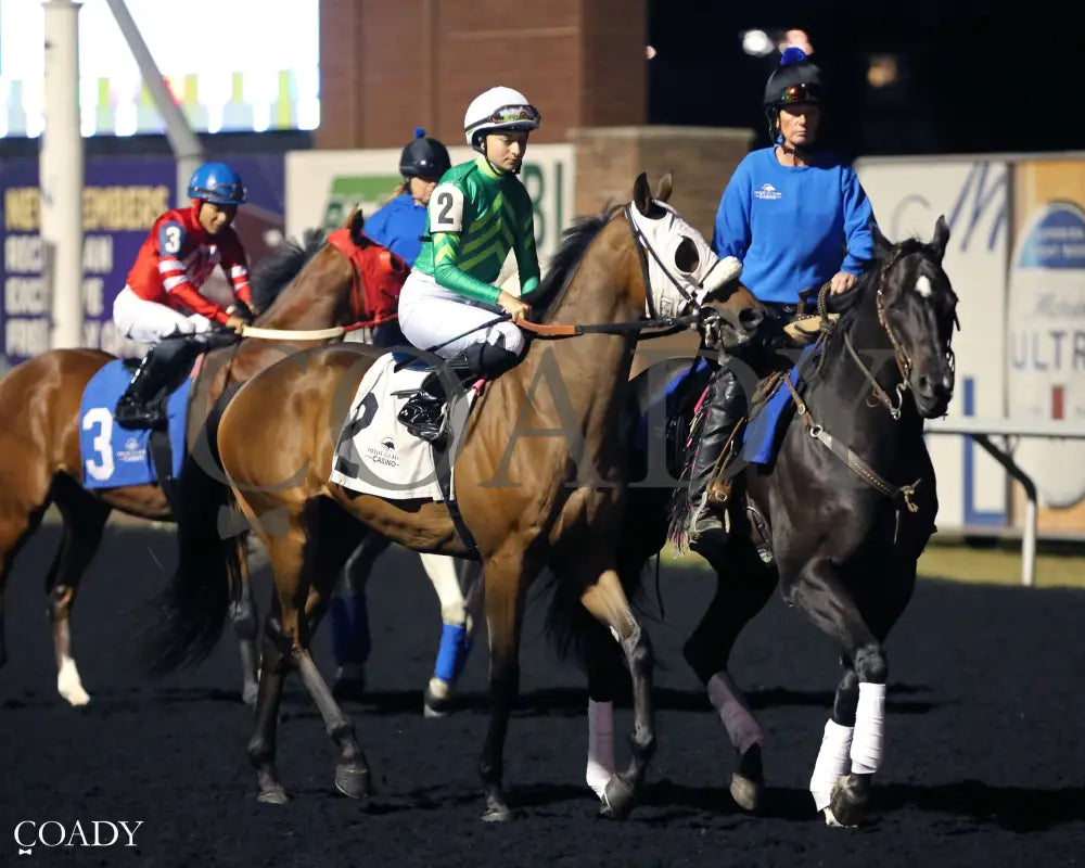 LIVE STREAM - The Fitz Dixon, Jr. Memorial Juvenile Stakes - 09-19-25 - R07 - PID - Post Parade 01 - Coady Media - Kurtis Coady Photography