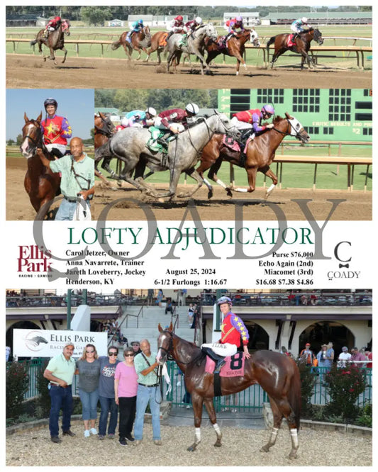 Lofty Adjudicator - 08-25-24 R08 Elp Ellis Park