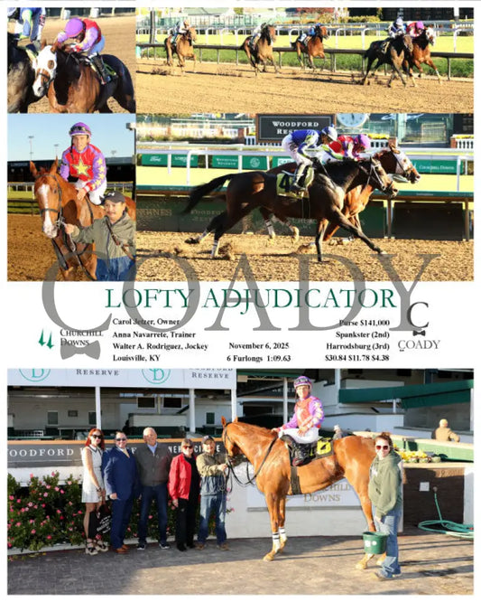 LOFTY ADJUDICATOR - 110625 - Race 08 - CD Churchill Downs