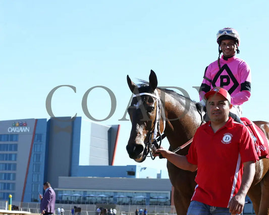 Lone Rock - The Temperence Hill 3Rd Running 04-03-22 R08 Op Come Back 01 Oaklawn Park