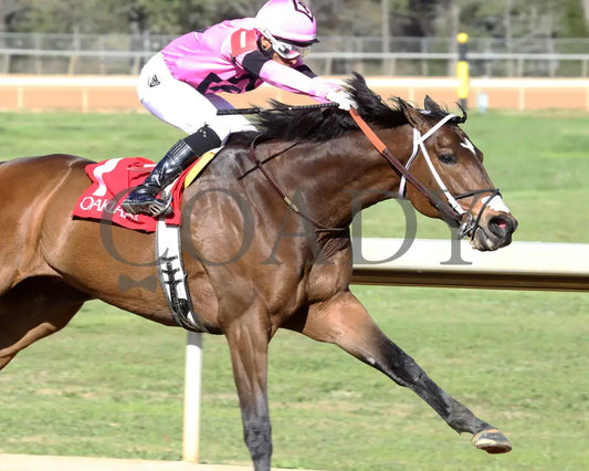 Lone Rock - The Temperence Hill 3Rd Running 04-03-22 R08 Op Tight Turn 01 Oaklawn Park
