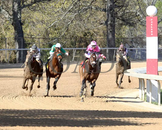 Lone Rock - The Temperence Hill 3Rd Running 04-03-22 R08 Op Turn 01 Oaklawn Park