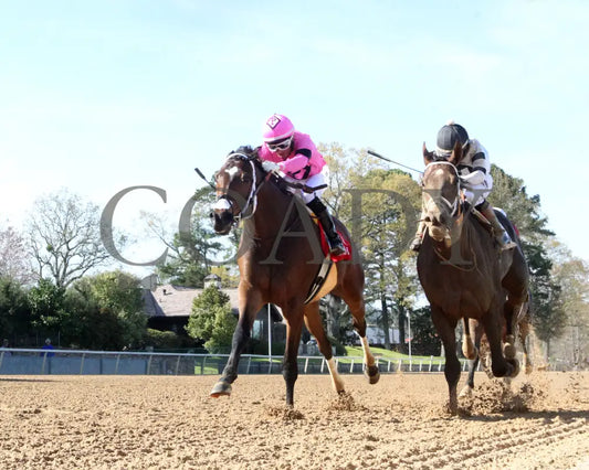 Lone Rock - The Temperence Hill 3Rd Running 04-03-22 R08 Op Under Rail 01 Oaklawn Park