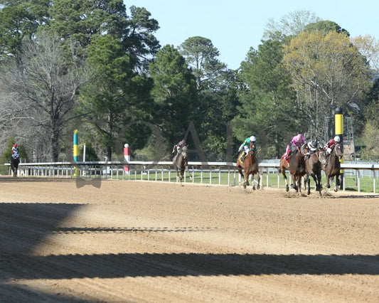Lone Rock - The Temperence Hill 3Rd Running 04-03-22 R08 Op Up Track 01 Oaklawn Park
