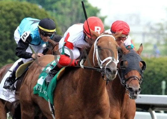 Lonesome Street - 041412 Race 09 Tight Fin Keeneland