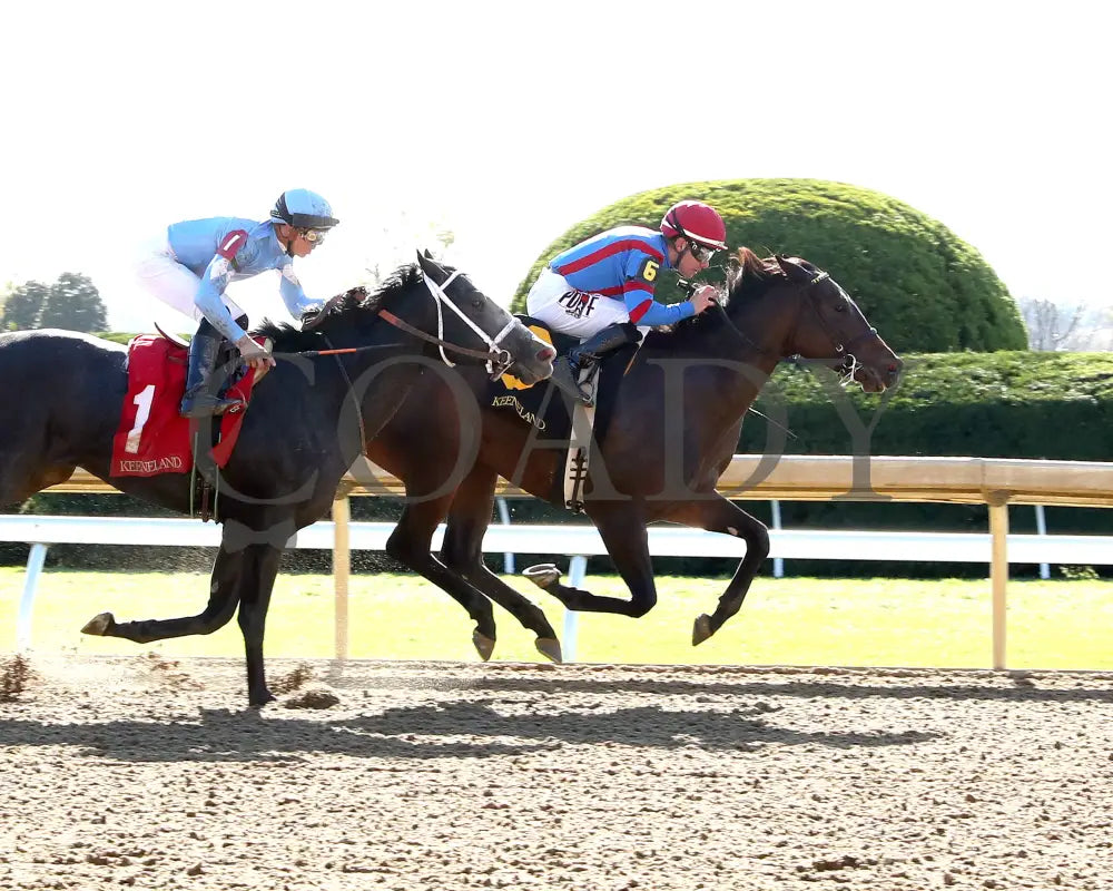 Long Neck Paula - The Bowman Mill 10-26-24 R06 Kee Finish 01 Keeneland