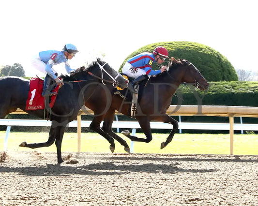 Long Neck Paula - The Bowman Mill 10-26-24 R06 Kee Finish 01 Keeneland