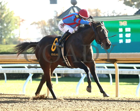 Long Neck Paula - The Bowman Mill 10-26-24 R06 Kee Finish 02 Keeneland